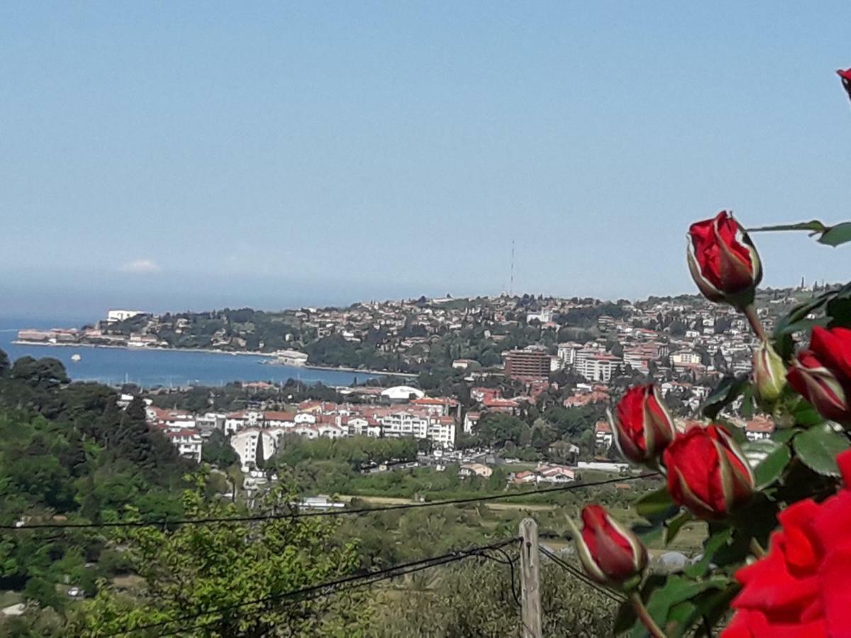 Apartma Sea View Portorož Kültér fotó